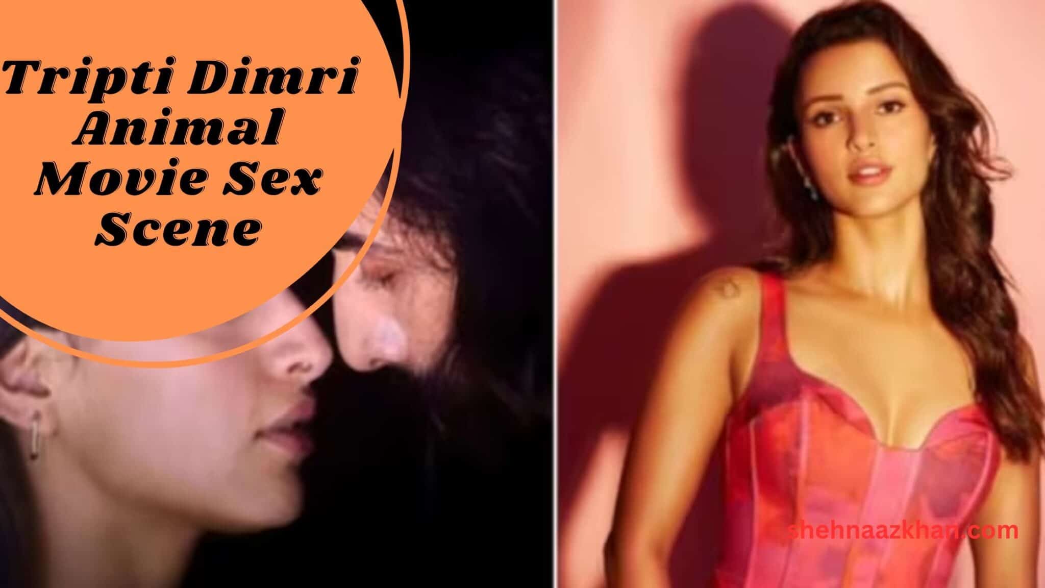 Leaked Tripti Dimri Animal Movie Sex Scene & Nude Photo 2025