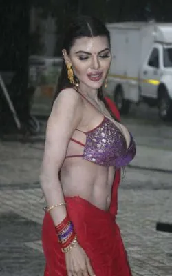 Sherlyn Chopra Nudes